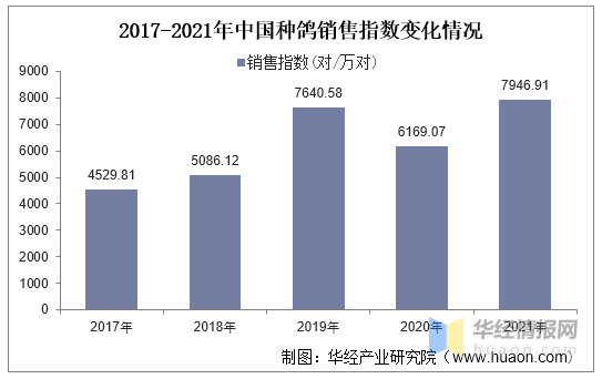狮扑体育注册:2016年中国鸽业发展现状及行业投资潜力预测报告